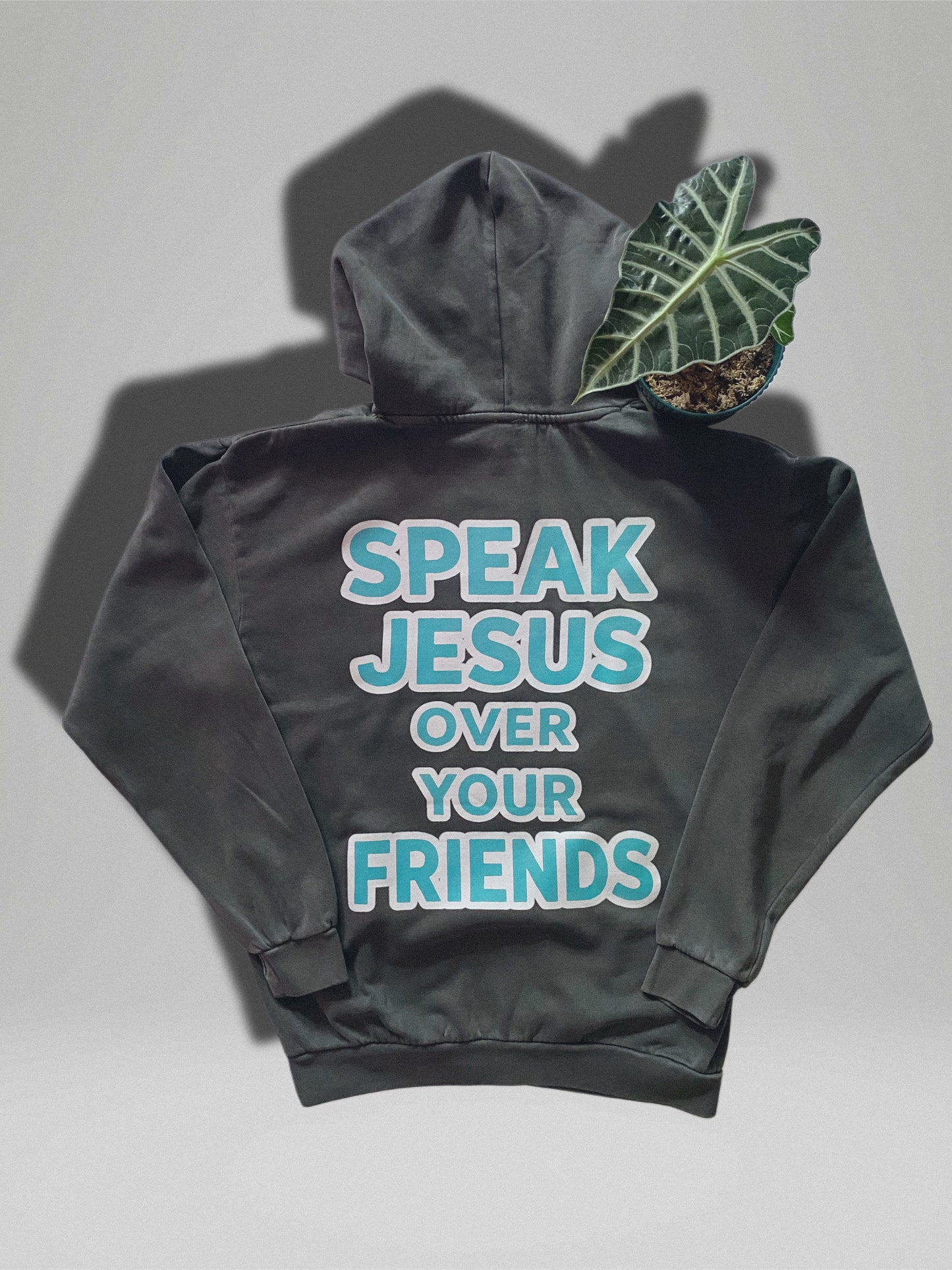 Speak Jesus Hoodie. (Back Print)