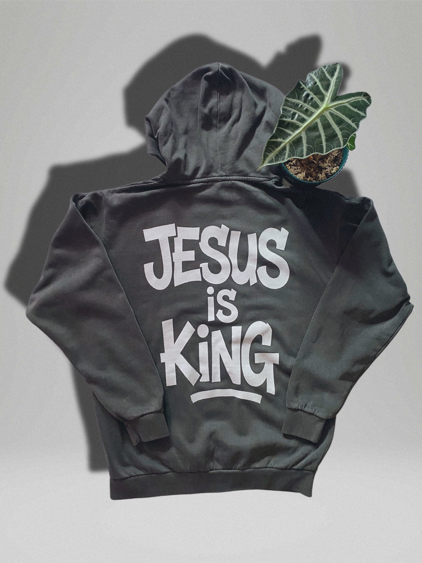 Jesus is King Hoodie. (Back Print)