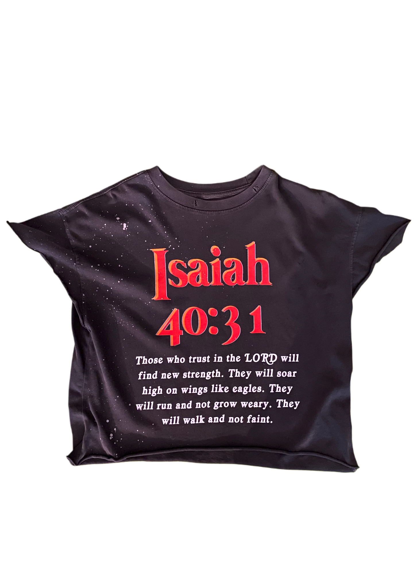 Isaiah 40:31.
