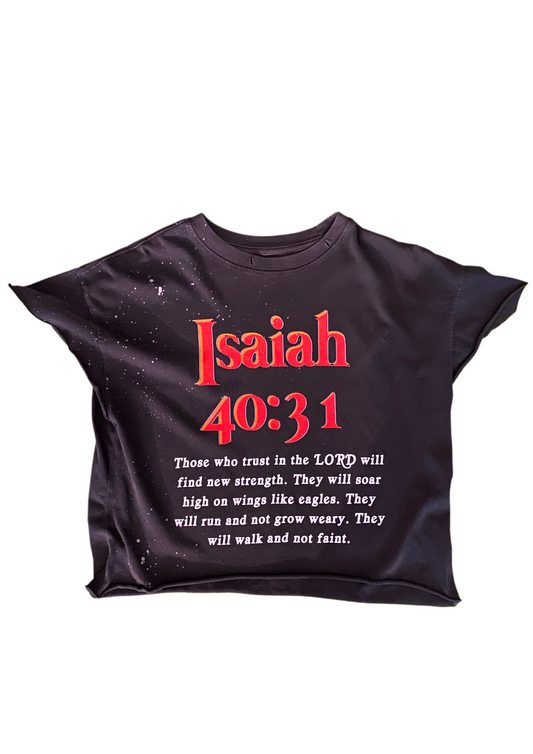 Isaiah 40:31.